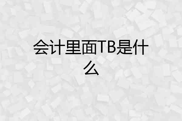 会计里面TB是什么