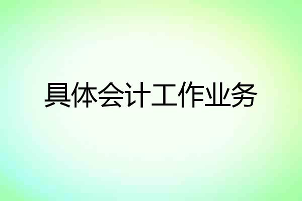 具体会计工作业务