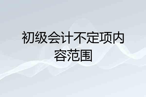 初级会计不定项内容范围