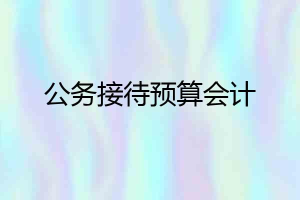 公务接待预算会计