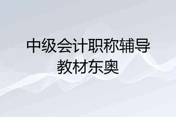 中级会计职称辅导教材东奥