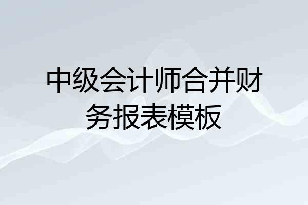 中级会计师合并财务报表模板