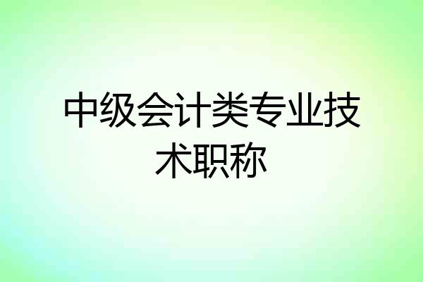中级会计类专业技术职称