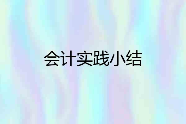 会计实践小结