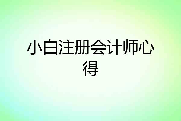 小白注册会计师心得