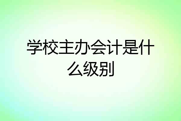 学校主办会计是什么级别