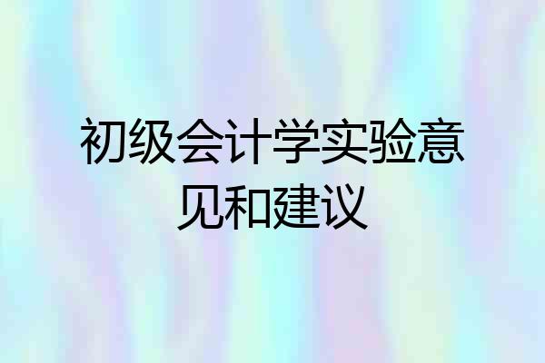 初级会计学实验意见和建议