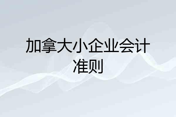 加拿大小企业会计准则