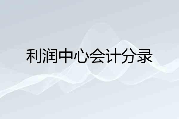 利润中心会计分录
