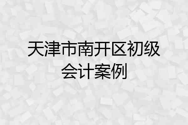 天津市南开区初级会计案例