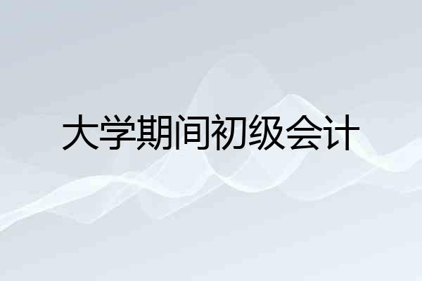大学期间初级会计