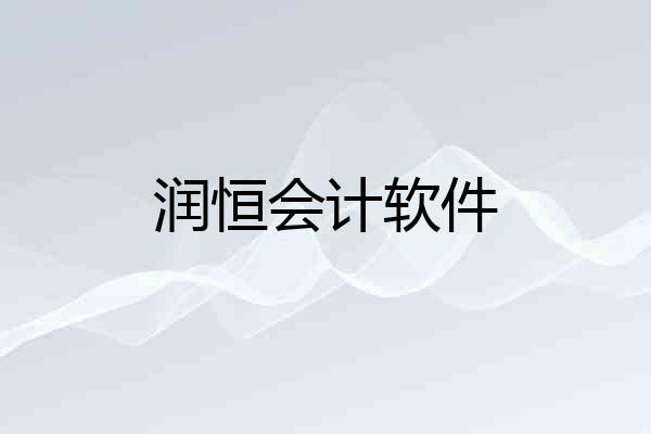 润恒会计软件