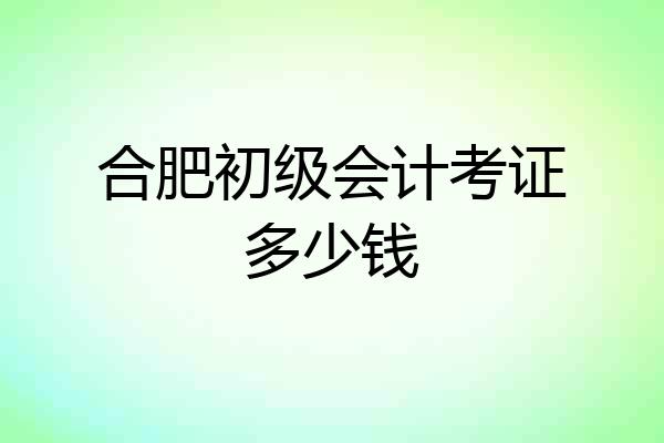 合肥初级会计考证多少钱