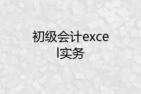 初级会计excel实务