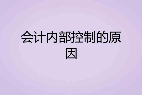 会计内部控制的原因