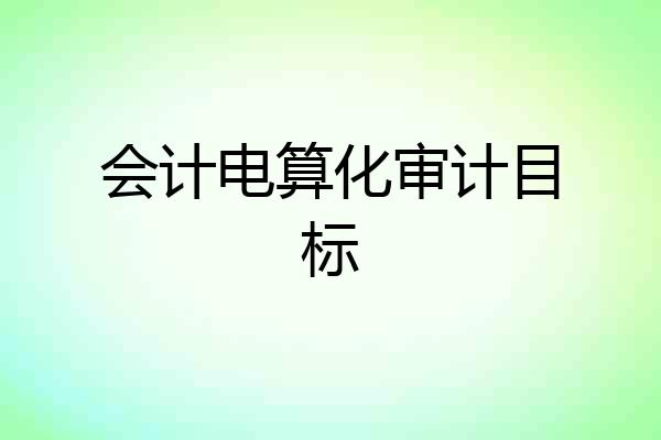 会计电算化审计目标