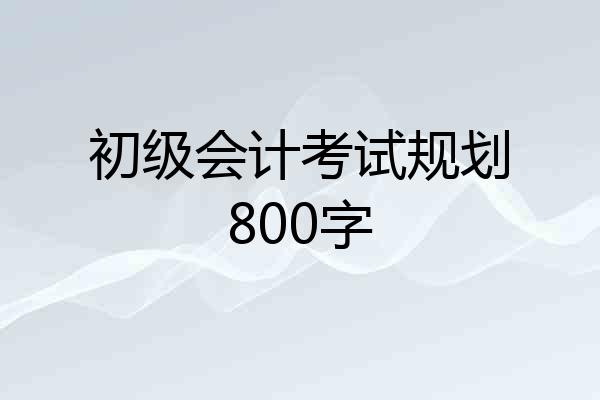 初级会计考试规划800字