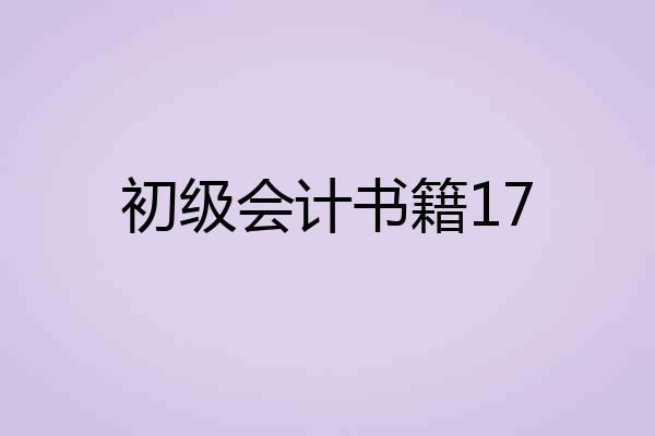 初级会计书籍17