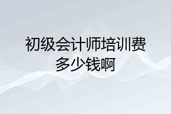 初级会计师培训费多少钱啊