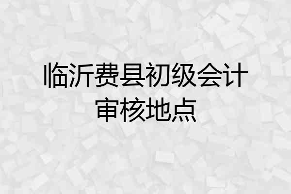 临沂费县初级会计审核地点