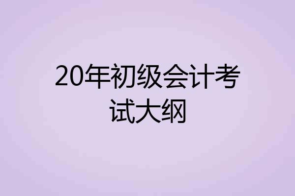 20年初级会计考试大纲
