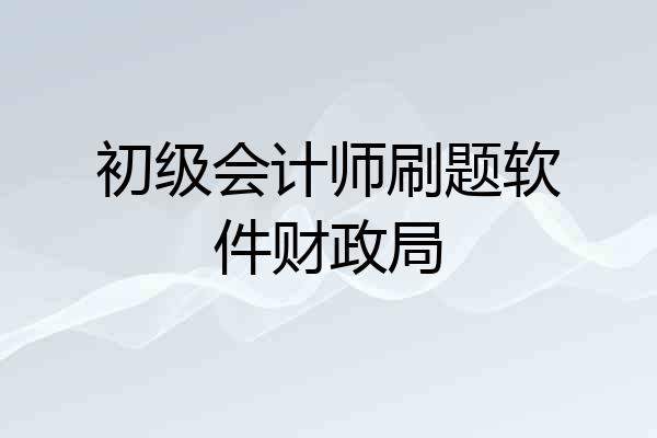 初级会计师刷题软件财政局