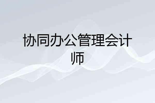 协同办公管理会计师