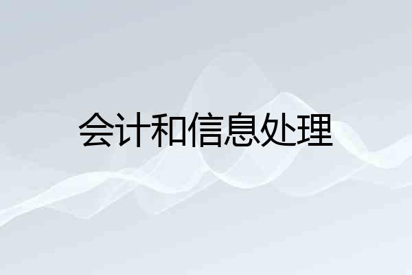 会计和信息处理