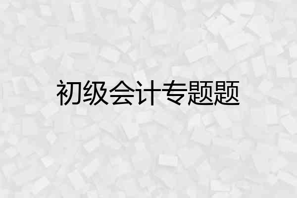 初级会计专题题