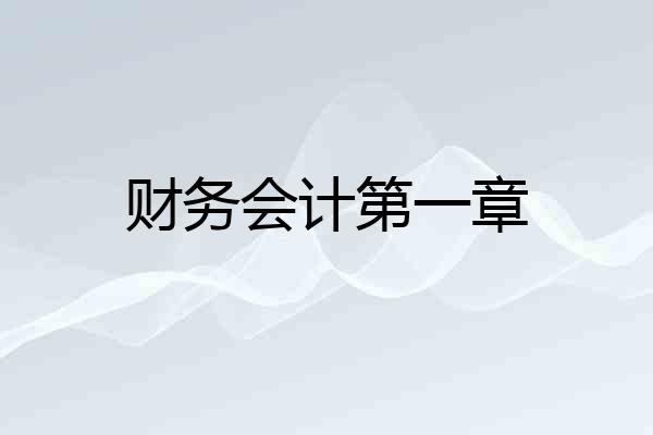 财务会计第一章