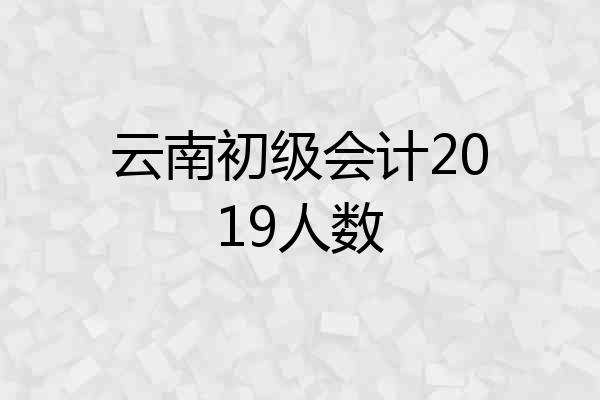 云南初级会计2019人数