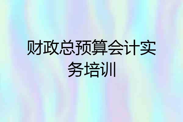 财政总预算会计实务培训