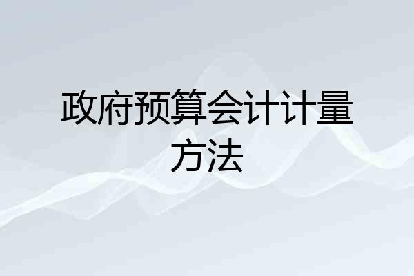 政府预算会计计量方法