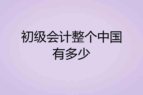 初级会计整个中国有多少