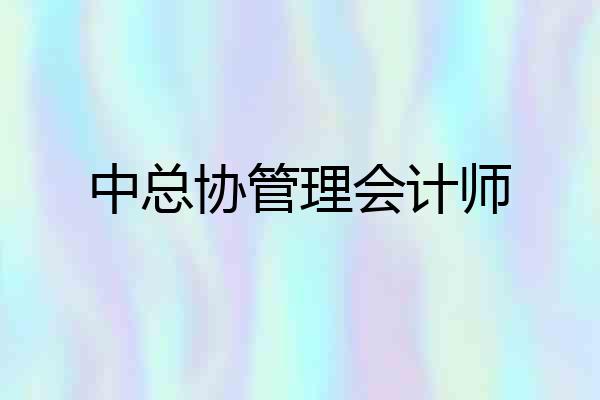 中总协管理会计师