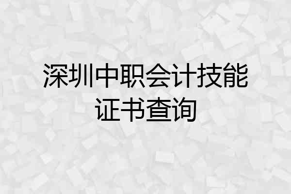 深圳中职会计技能证书查询