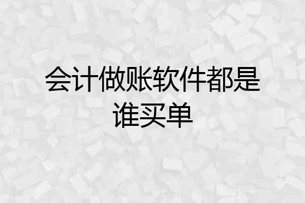 会计做账软件都是谁买单