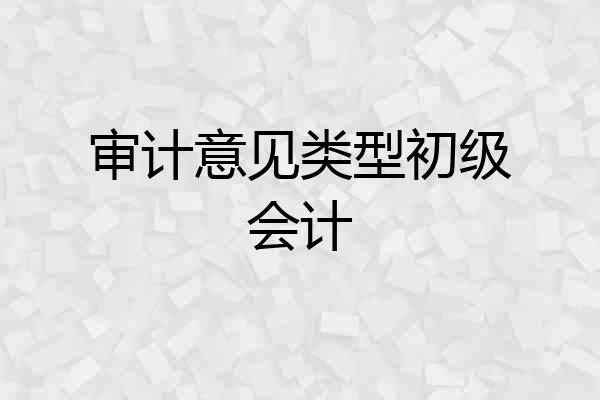 审计意见类型初级会计