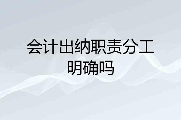 会计出纳职责分工明确吗