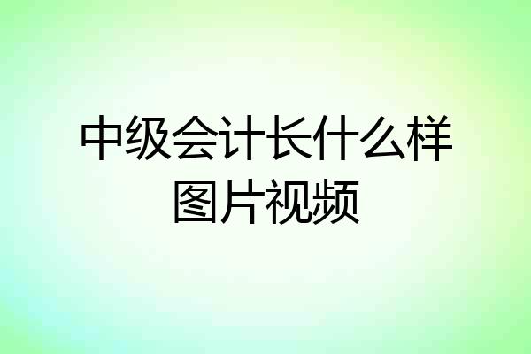中级会计长什么样图片视频