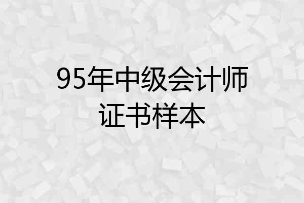 95年中级会计师证书样本