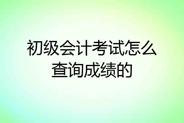 初级会计考试怎么查询成绩的