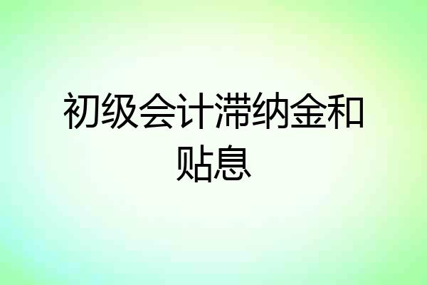初级会计滞纳金和贴息