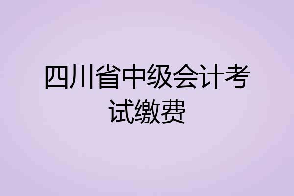 四川省中级会计考试缴费