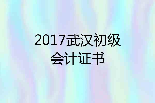 2017武汉初级会计证书
