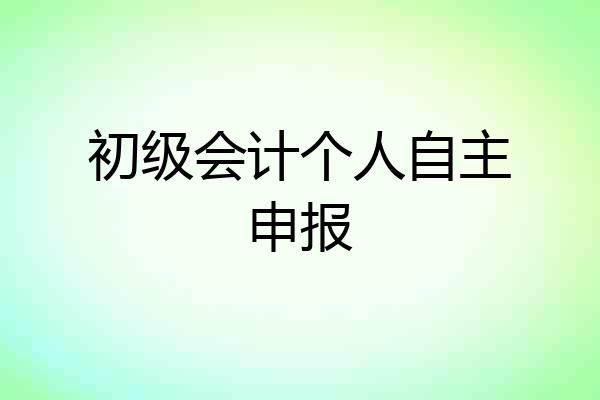初级会计个人自主申报