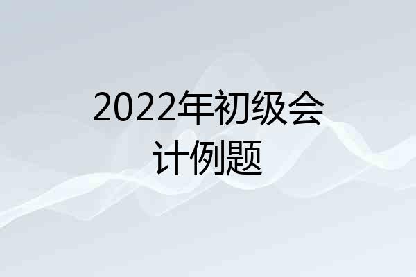 2022年初级会计例题