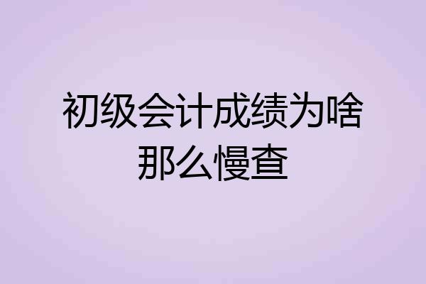 初级会计成绩为啥那么慢查