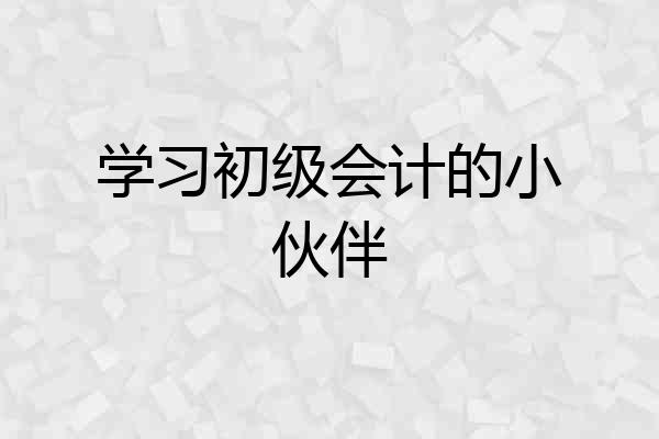 学习初级会计的小伙伴