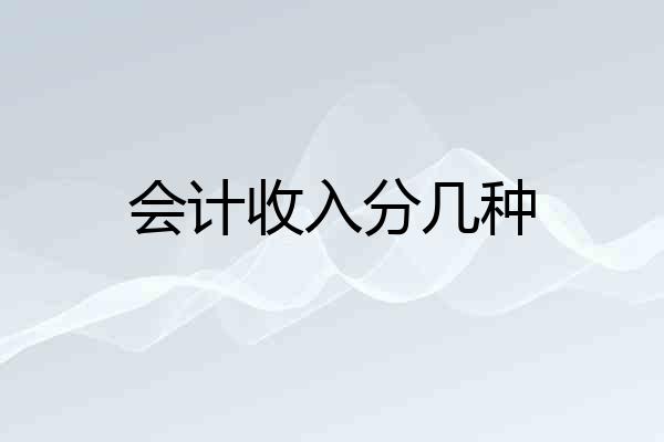 会计收入分几种